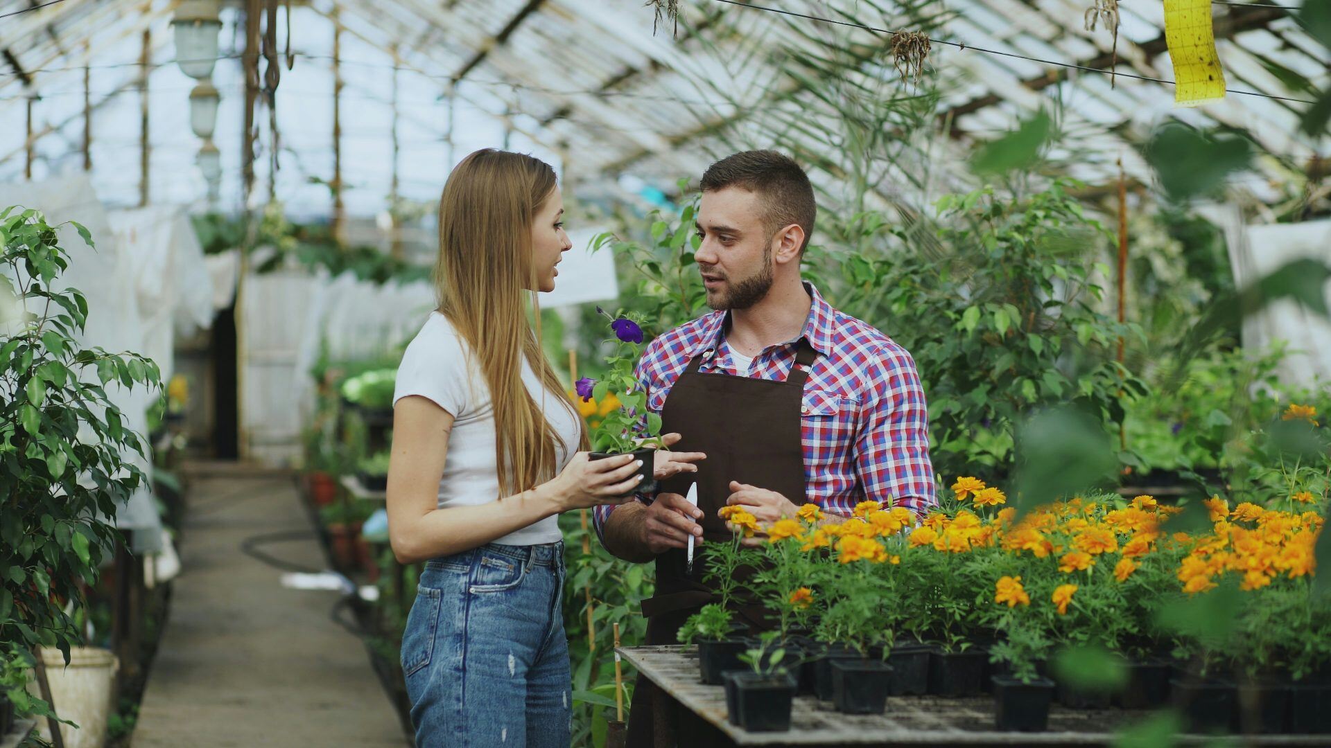 A woman and man talking in a greenhouse with plants.